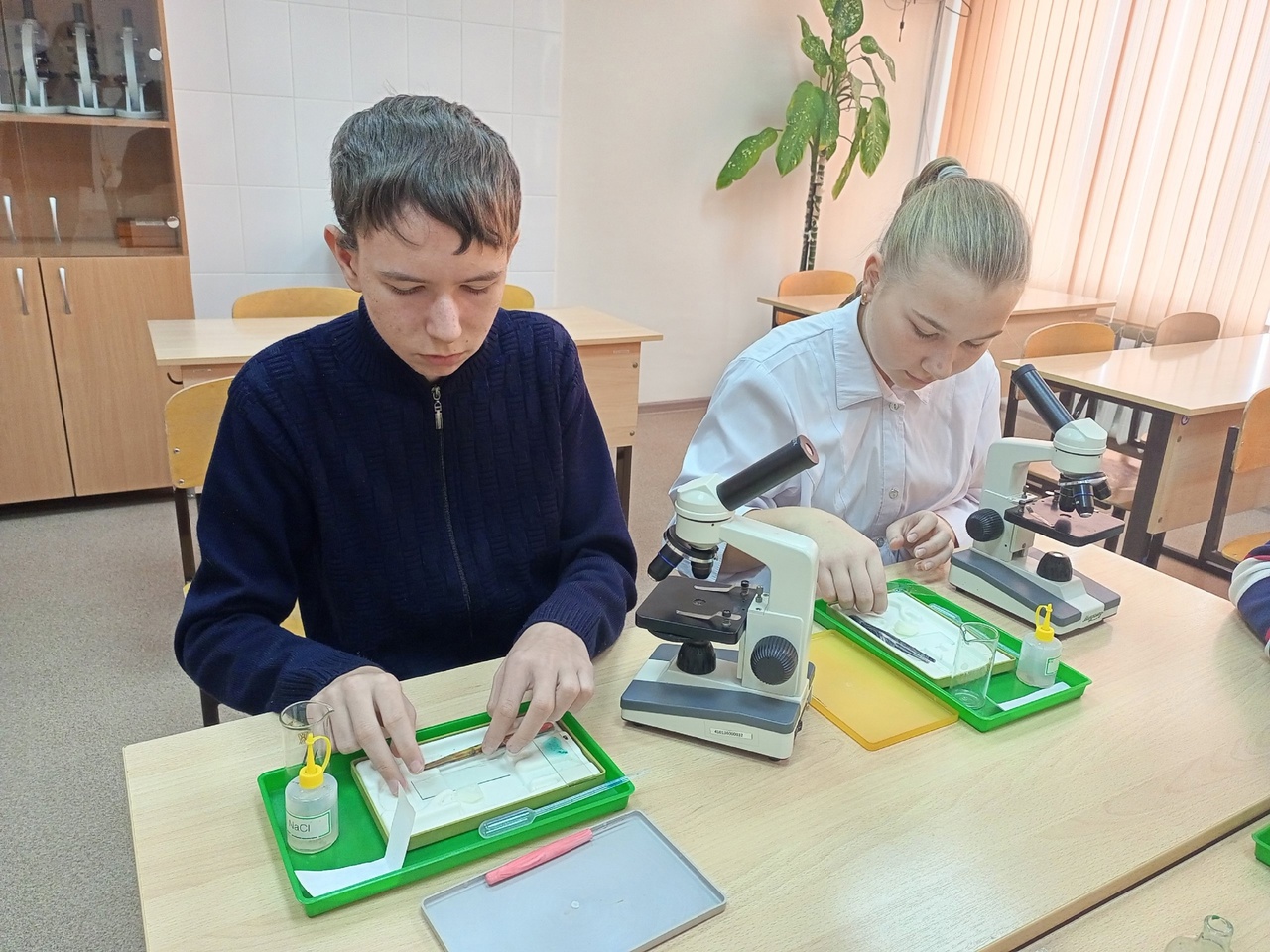 Мир под микроскопом.